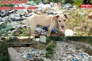 waste management  മാലിന്യ പ്രശ്‌നം