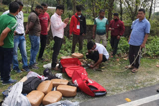 কোকৰাঝাৰ আৰক্ষী আৰু এছ এছ টি অভিযানত জদ্ধ 40 কেজি গাঞ্জা