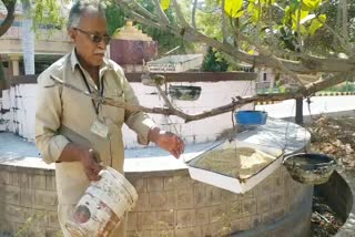 govt-employee-who-served-water-for-birds-from-last-11-years