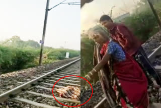 Elderly woman lying on railway tracks, kota crime news