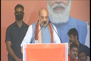 What about the pain of families of BJP workers killed in TMC  rule, Shah targets Mamata