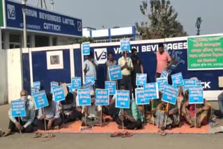 Pepsi Company Workers Go On Strike In Cuttack's Jagatpur