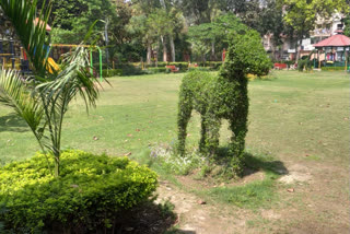 delhi dumpyard turned into beautiful park