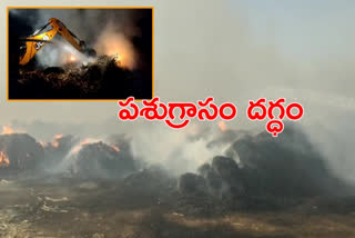 Fire at Gayithri Goshala