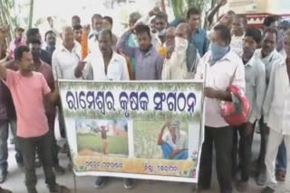 paddy problem in kendrapara