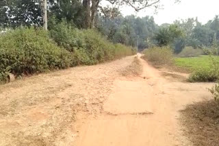 condition of bhalsumiha-village road is very bad in dumka