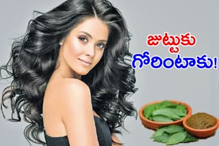tips-for-healthy-hair-with-henna-in-telugu