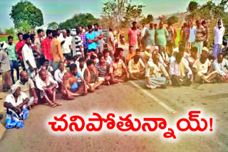 fishermen-protest-for-yellampalli-water-at-rudrangi-in-rajanna-sircilla-district