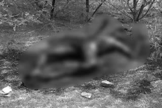 burned body found at korangi in east godavari district