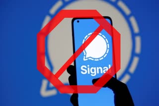 messaging app signal appears have been blocked china