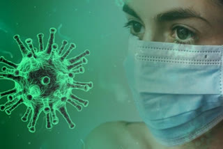 204 new corona virus cases  in telangana