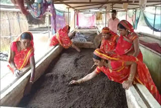 womens getting profit by making organic fertilizer