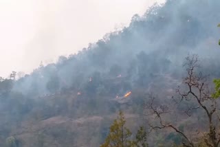 Fire in Korba Forest Division, कोरबा वन मंडल में आग