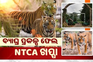 Will the International Tiger Transfer Project be shut down in Satkosia!