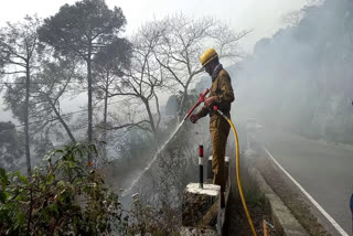 fire in forest at baijnath