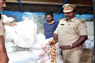 gutka captured at vinukonda