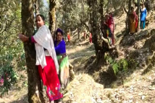 Women hug trees to save them from felling  Chipko revived  Chipko movement revived  Women in Dehradun hug trees to save them from felling  വനനശീകരണം തടയാൻ മരങ്ങളെ കെട്ടിപ്പിടിച്ച് സ്ത്രീകളുടെ സമരം  Dehradun  വനനശീകരണം തടയാൻ മരങ്ങളെ കെട്ടിപ്പിടിച്ച് സ്ത്രീകളുടെ സമരം  വനനശീകരണം  മരങ്ങളെ കെട്ടിപ്പിടിച്ച് സ്ത്രീകളുടെ സമരം  സമരം  പ്രതിജ്ഞ