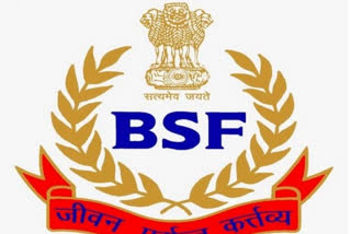 Pakistan intruder BSF Jammu border Border Security Force பாகிஸ்தான் ஊடுருவல்காரர் சுட்டுக்கொலை