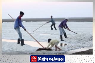 દેશનું 81 ટકાથી વધુ મીઠું ગુજરાતમાં પાકે છે!