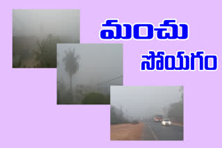 snow at konaseema in east godavari district