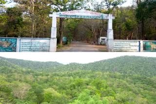 Asia second largest jungle-safari-will-be-made-in-kawardha-district