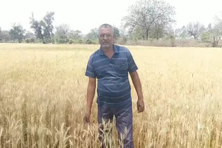 Farmer Shetesh Jeevan Patel
