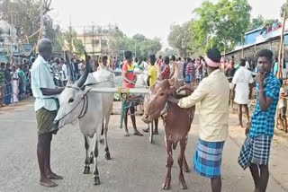 மாட்டு வண்டி எல்கை பந்தயம்