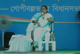 mamata benarjee slams on bjp