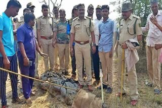 crocodile-protected-by-the-forest-department-in-chikkodi