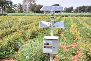 Farmer who invented Solar mission to protect his crop from animals