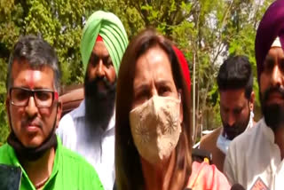 Navjot Singh Sidhu should get decisive post: Congress leader’s wife