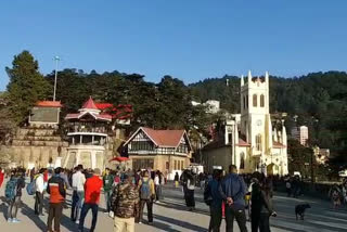 shimla