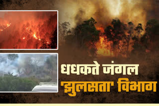 massive forest fire in mount abu, administration preparation for fire in sirohi