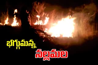 నల్లమలలో మరోసారి చెలరేగిన మంటలు