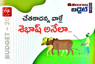 telangana budget