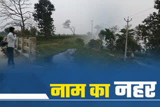 Reality of irrigation project in Purnea