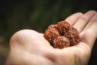 medicinal benefits of Rudraksha