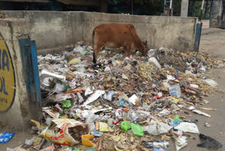 कोटा नगर निगम, Kota News, कोटा में कचरा प्वाइंट्स
