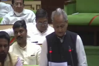 ashok gehlot news,  ashok gehlot statement on reservation