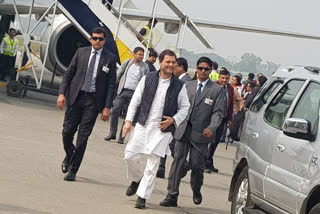 Rahul Gandhi to campaign in Assam from Friday