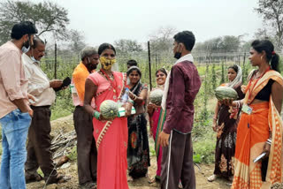 Study tour of Gothan, गौठान समितियों का भ्रमण