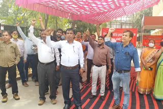 Rajasthan News,  Strike against privatization