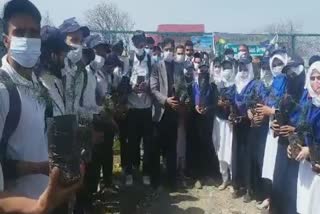 plantation drive at degree college kulgam