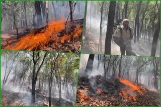 fire-broke-out-at-kakulakona-forest-chittor-district