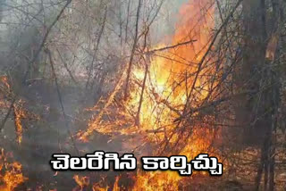 fire accident in forest in medchal