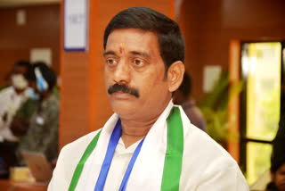 vishakapatnam  deputy mayor jiyyani sridhar on vishaka development