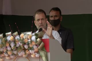 BJP promotes hatred to create divisions among people: Rahul Gandhi in Assam