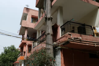 huge trees adjacent to the building in hari Kunj Society