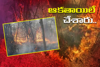 forest-officers-on-dulapally-forest-fire-incident
