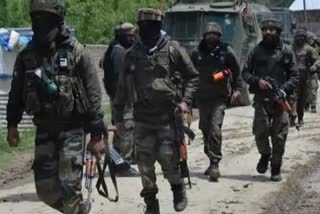 Search operation continues in Tral-Lorow Jagir